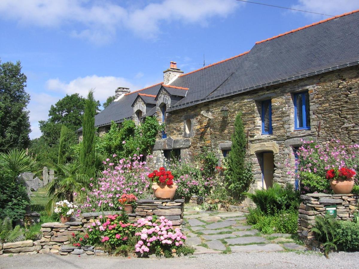 Ble Noir Le Clos Du Tay La Gacilly