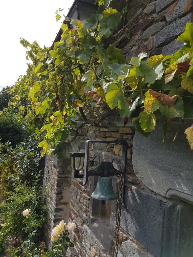 Ble Noir Le Clos Du Tay