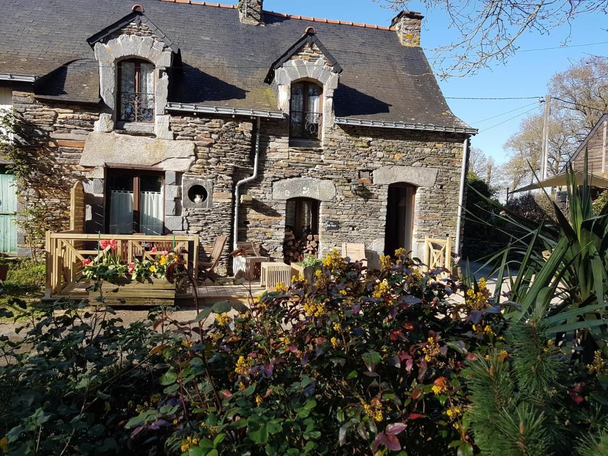 Ble Noir Le Clos Du Tay *