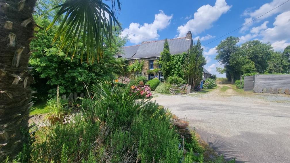 Ble Noir Le Clos Du Tay *