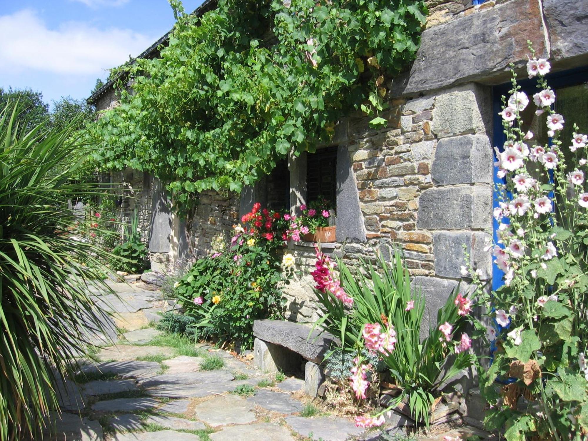 Ble Noir Le Clos Du Tay